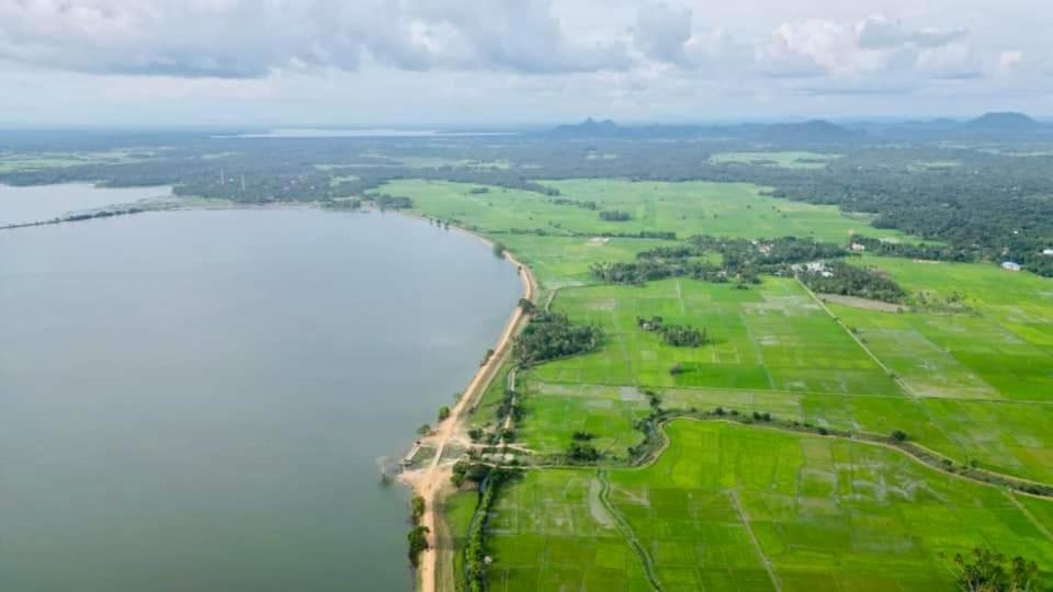 Yala Safari Resort Tissamaharama Eksteriør billede