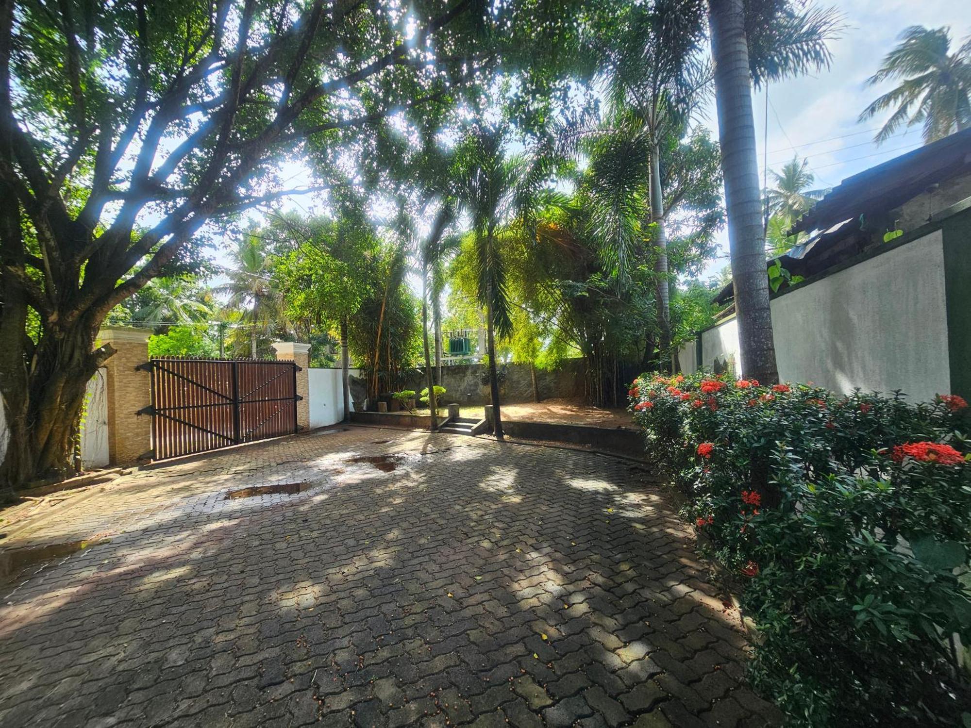 Yala Safari Resort Tissamaharama Eksteriør billede